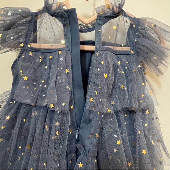 Toddler Girl Stardust & Glitter Slate Blue Tulle Princess Dress |  Size 2-3Y - Picture 7 of 15